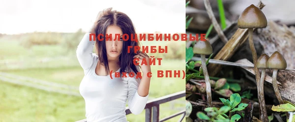 COCAINE Пестово