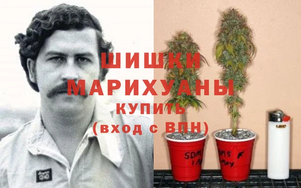 трава Переславль-Залесский