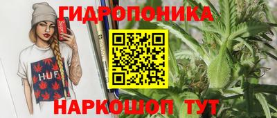 гашик Гусь-Хрустальный