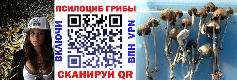 Псилоцибиновые грибы MAGIC MUSHROOMS  Кувандык 