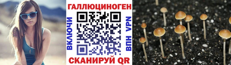 Псилоцибиновые грибы Magic Shrooms Кувандык